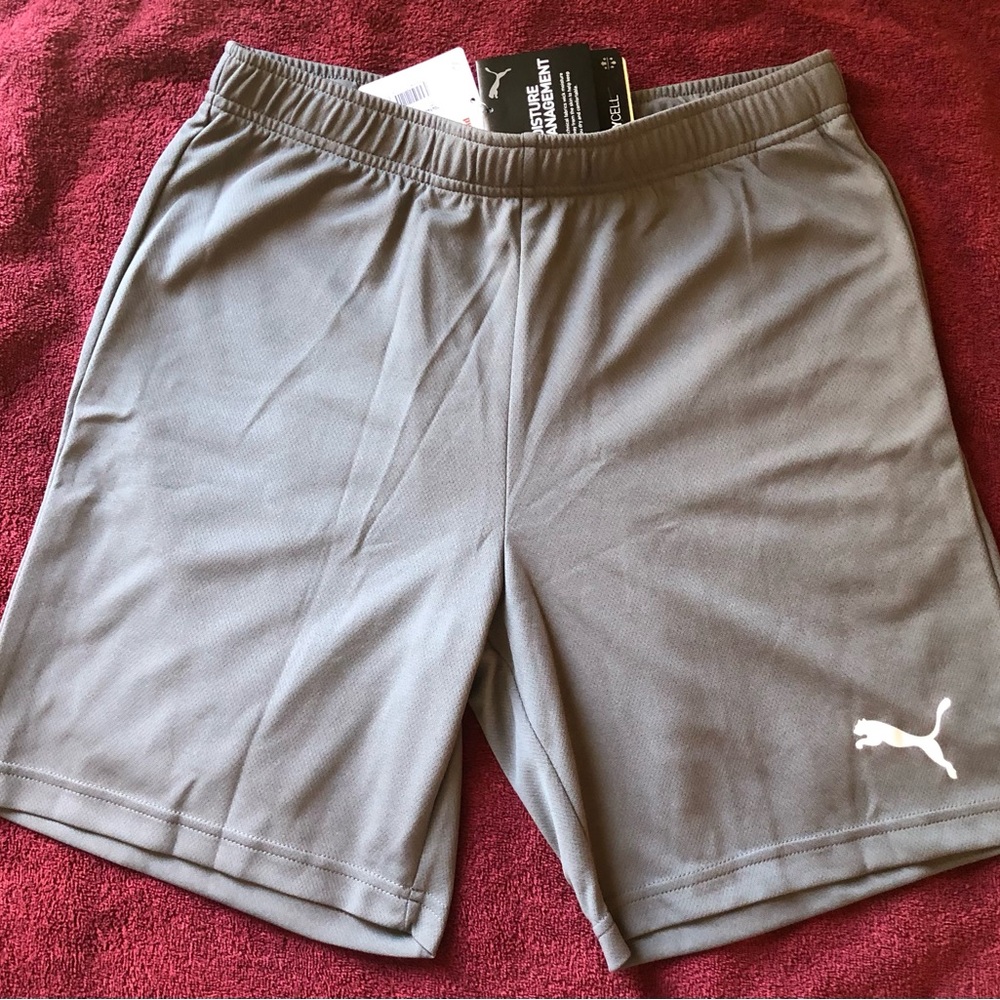 NWT Medium Puma Men's Team Rise Soccer Shorts Grey color